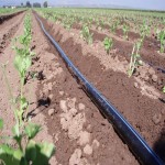لوله پلی اتیلن آبیاری PE pipe کنترل حجم آب گلخانه مزارع کشاورزی
