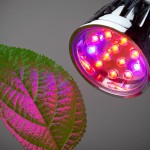 لامپ ال ای دی فول اسپکتروم LED طیف نوری مقاوم مناسب خانه گلخانه