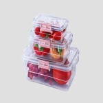 ظروف پلاستیکی شفاف (یکبار مصرف) مربع مستطیلی نگهداری (مواد غذایی خوراکی)