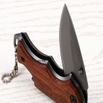 چاقو باک x44؛ فولاد ضد زنگ تیز مناسب کوهنوردی ساخت America