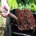 خاک پوششی قارچ ملارد؛ تقویت کننده جذب آب 50% (ph (6.8 7.5