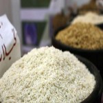 برنج هندی؛ دانه بلند سفید باسماتی خوش پخت محصول کشور India