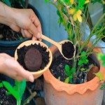 کود ارگانیک ویتامینه؛ مایع پلت گرانوله تقویت گیاهان تنظیم pH خاک