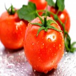 گوجه فرنگی گلخانه ای؛ پرورش دمای 10 30 درجه ویتامین (E C K) محافظت پوست