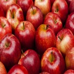 سیب قرمز لبنان؛ ترد درجه یک بهبود دیابت وزن 250 گرم