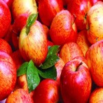 سیب گلاب کهنز؛ قرمز مجلسی سایز متوسط پوست نازک خوش عطر