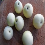 سیب سفید مراغه؛ آبدار حاوی ویتامین C درمان کم خونی
