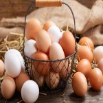 تخم مرغ بومی؛ سالم فاقد هورمون درمان کم خونی حاوی پروتئین egg