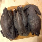 گوشت مرغ سیاه؛ ارگانیک بدون هورمون درمان کم خونی سرماخوردگی