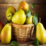 گلابی اصفهان؛ زرد شیرین بافت گوشتی مناسب دسر کمپوت pear