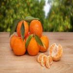 نارنگی برای سرما خوردگی؛ داروسازی درمان سرما خوردگی ویتامین C