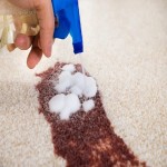 شامپو فرش قوی؛ ساده رایحه دار پاک کننده قوی حجم (1 2 4) لیتری