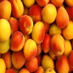 زردآلو صادراتی؛ نرم طبع سرد درمان کم خونی کاهش تب Apricot