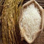 برنج صدف گیلان؛ دانه بلند کوتاه پخت آسان معطر وزن 10 کیلویی