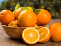 پرتقال صادراتی شمال؛ والنسیا لبنانی آبدار حاوی کلسیم منیزیم
