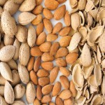 بادام سنگی ربیع؛ مغزدار بو داده بسته بندی stone almond