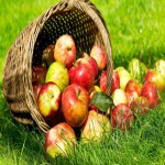 سیب برای یبوست؛ قرمز زرد سبز مناسب کاهش وزن سلامت پوست
