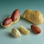 بادام زمینی شیراز (پسته شامی) خام بدون پوست مناسب کنترل قند خون peanut