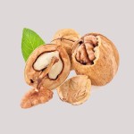 گردو فرنور پیوندی؛ پوست کاغذی مغز سفید طبع گرم walnut