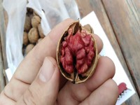 گردو کانادایی ارغوان؛ بسته بندی روغن امگا3 نازک walnut