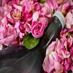 گلاب شیراز؛ دو سه آتیشه سنگین حاوی آنتی اکسیدان ویتامین (A E)