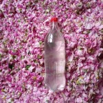 گلاب برای افراد دیابتی؛ خوراکی غیر خوراکی بطری پلاستیکی glass