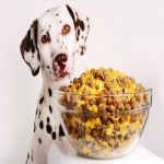 میوه خشک برای سگ؛ انرژی زا ضد سرطان حاوی ویتامین پتاسیم Calcium
