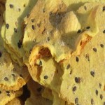 نان خشک افغانستان؛ شیرین مزه عالی تقویت استخوان مفاصل فیبر (6 12) عددی