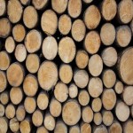 چوب گردو برای مبل؛ چهار تراش قهوه ای قطر (20 30 40) سانتی متر