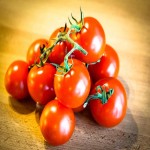 گوجه فرنگی در آذربایجان غربی؛ هیدروپونیک کارتن (6 10 16) کیلویی یکدست