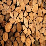 چوب درخت انجیر؛ پرورشی خودرو تولید میز صندلی Wood