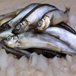 ماهی چنگو خار سبز (چینگو) دم سیاه حاوی مواد معدنی Omega 3