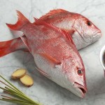ماهی سرخو تک خال؛ قرمز نارنجی تنظیم چربی فشار خون Organic