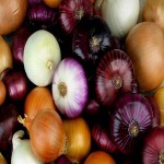 پیاز گلخانه ای؛ خوراکی زعفران گل نرگس بدون آفت an onion