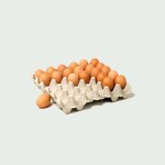 شانه تخمه مرغ مقوایی؛ انعطاف پذیر مقاوم ظرفیت (10 20 30) عددی