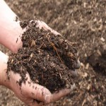 کود ارگانیک ارومیه؛ آنتی بیوتیک بهبود کیفیت خاک (25 50) کیلو گرمی