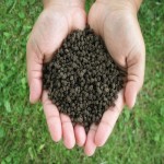 کود هیومیک اسید غنچه؛ تقویت گیاه پودری حفظ رطوبت خاک