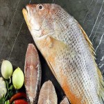 ماهی سرخو دندونی؛ سفید آهن کلسیم تقویت مغز آب شور fish