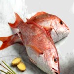 ماهی سرخو زنبوری (ابراهیم سلطان) قرمز ضد سرطان حاوی فسفر potassium