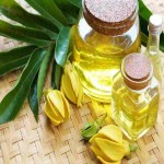 روغن گیاهی ماساژ؛ زیتون نارگیل خاصیت مرطوب کننده پوست oil