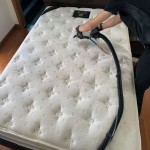 تشک مهمان یزد؛ پنبه ای ضد حساسیت ارتجاعی 2 کیلوگرم mattress
