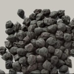 نخود سیاه در بازار؛ حاوی پروتئین 900 گرمی تولید Iran