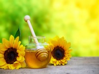 عسل گل آفتابگردان؛ طلایی کرمی 2 نوع طبیعی مصنوعی sunflower