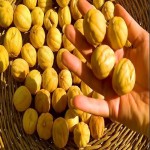 لیمو عمانی؛ ترش سرد تقویت معده 2 نوع (بسته بندی فله)
