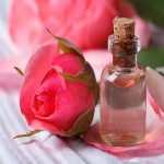 گلاب برای عفونت رحم؛ گل سرخ محمدی 3 کاربرد دسر شربت شیرینی