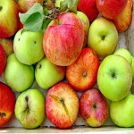سیب گلاب در بازار؛ تقویت استخوان دندان حاوی ویتامین A