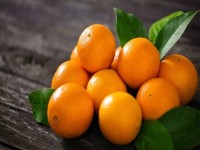 پرتقال برای سرفه خشک؛ مرکبات شیرین سدیم فیبر ویتامین C