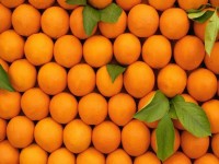 پرتقال شیرین؛ شفاف آبدار حاوی آنتی اکسیدان فیبر پروتئین ویتامین C