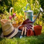 کلاه باغبانی؛ حصیری سبک راحت ضد تابش آفتاب special