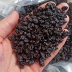 زرشک سیاه (کوهی) هسته دار شیرین مناسب آبگیری دمنوش Berberis
